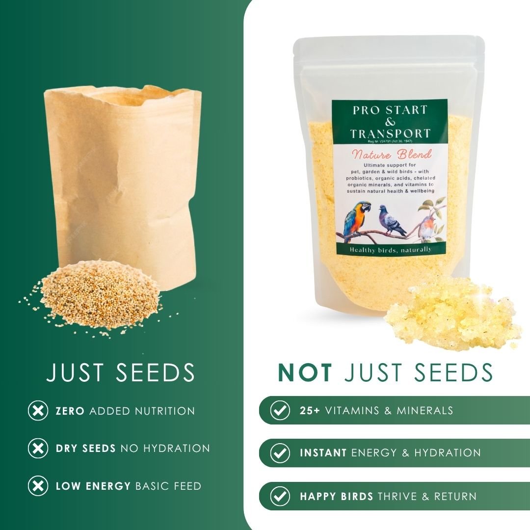 Pro Start Nature Blend  Bundle (25+ Nutrients for Pet & Garden Birds)