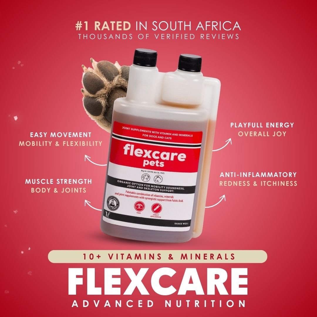 Flexcare, Doggymin & Moody Master (Ultimate Wellness for Dogs & Cats)