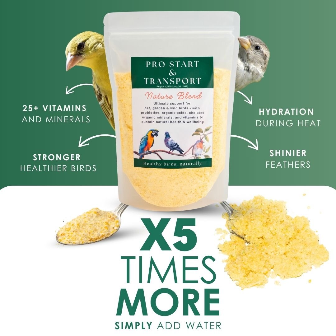 Nutrition Feed Blend (Supplement Feed for All Birds & Poultry)