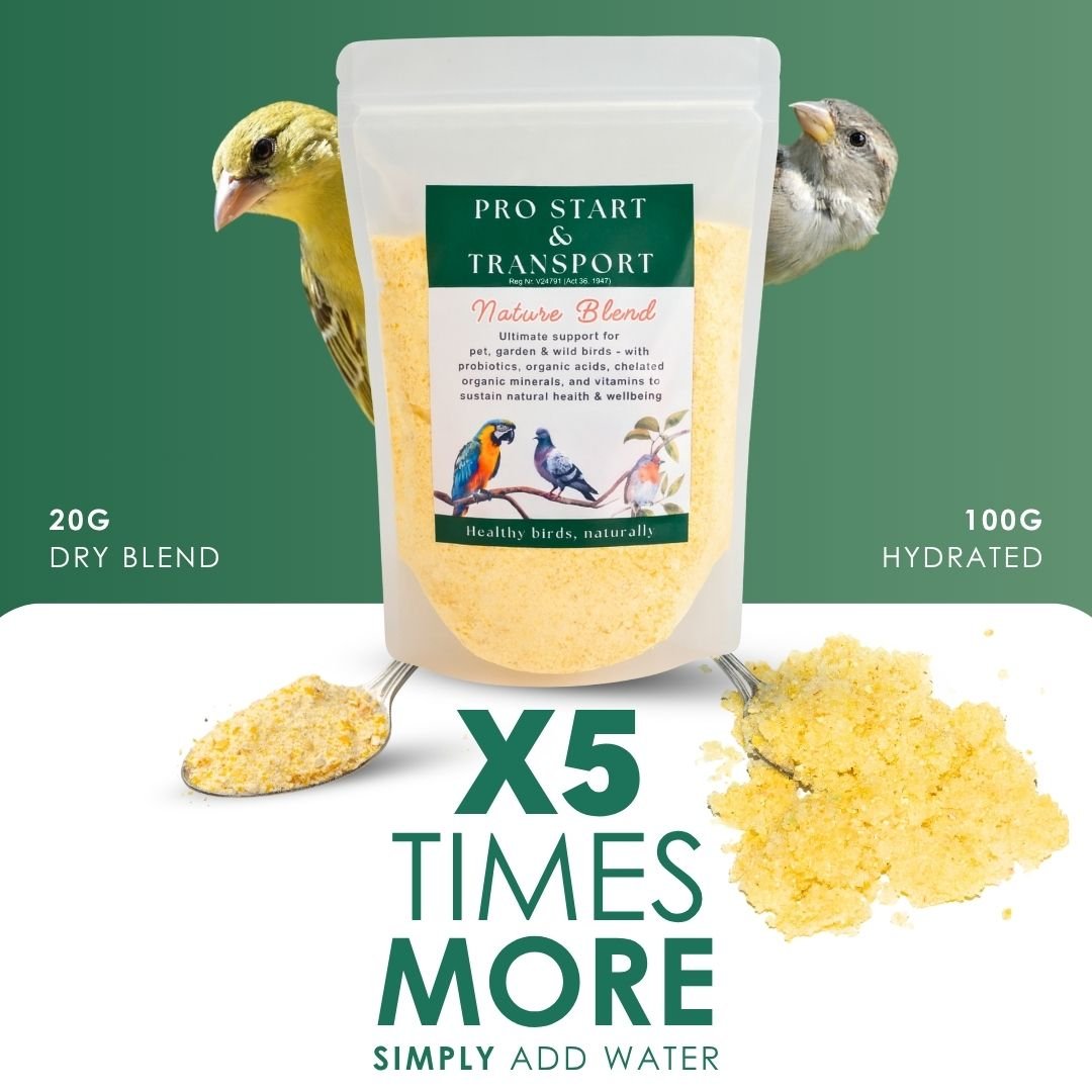 Pro Start Nature Blend  Bundle (25+ Nutrients for Pet & Garden Birds)
