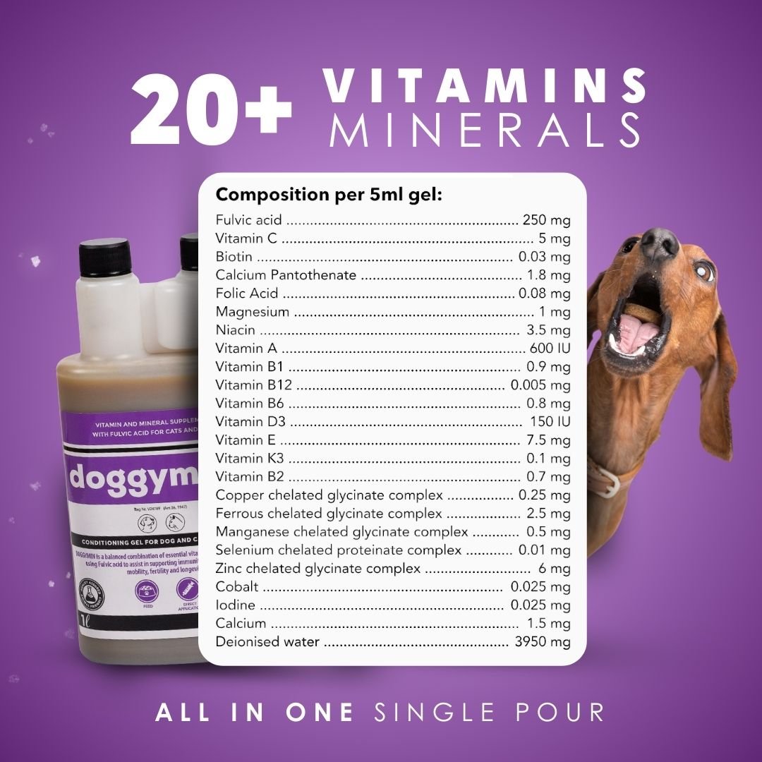 Natural Canine Care | DoggyMin - Skin & Immune Support for Dogs