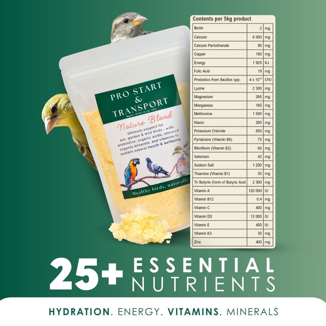 Nutrition Feed Blend (Supplement Feed for All Birds & Poultry)