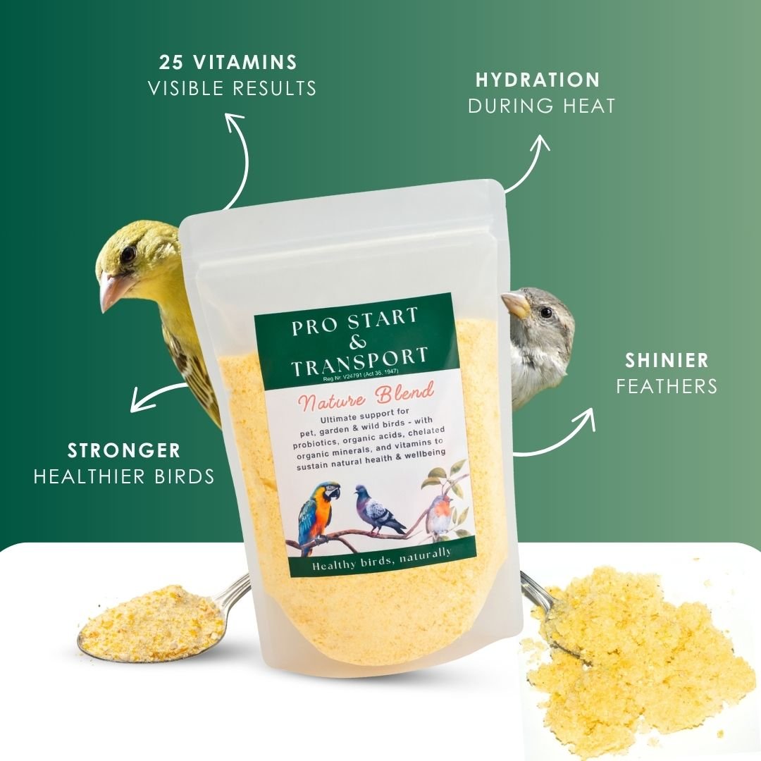 Pro Start Nature Blend  Bundle (25+ Nutrients for Pet & Garden Birds)