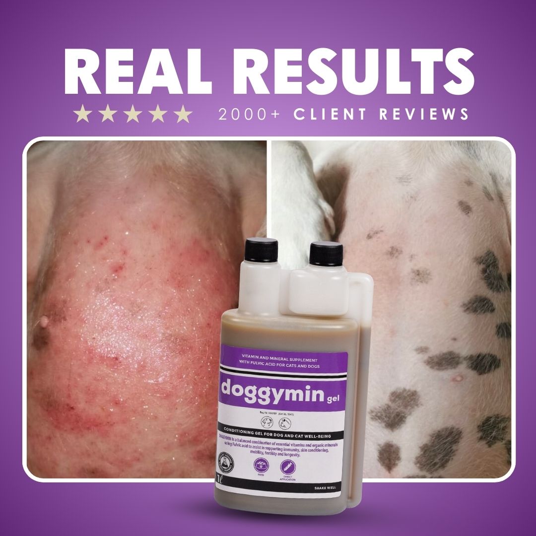 Natural Canine Care | DoggyMin - Skin & Immune Support for Dogs